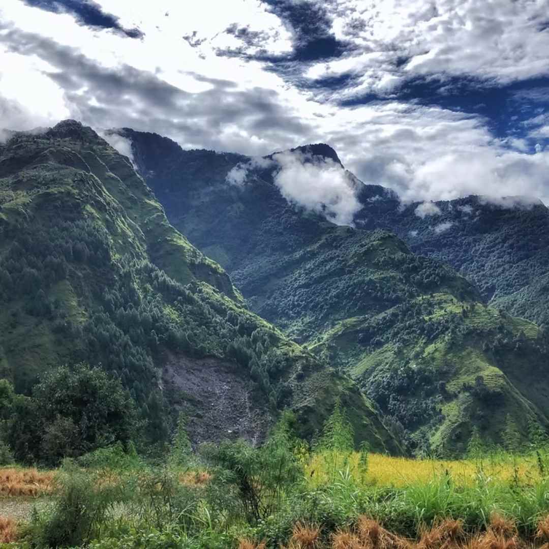 Comfort Inspired by Nature at Mandola Stays